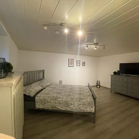 Haus Laerche Lejlighed Münster Eksteriør billede